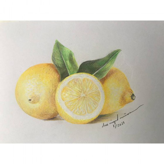 DIBUJO-FRUTA-2021-015