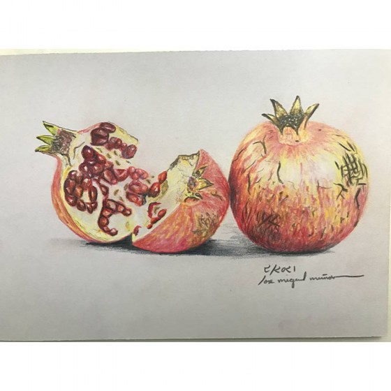 DIBUJO-FRUTA-2021-045